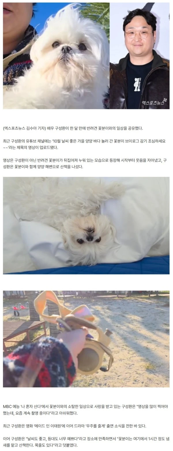 구성환, 1개월만 전한 근황…'견주' 얼굴은 없고, 꽃분이만 "너무 멋있다"