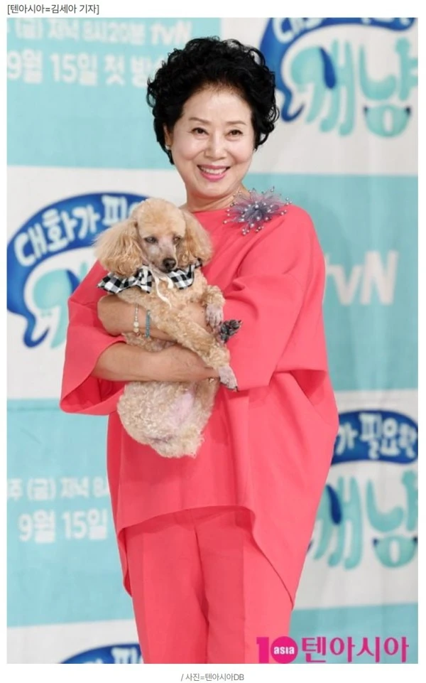 선우용여, 벤츠 끌고 호텔 조식 먹는다더니…요리 선생님 구한다 "유명세 욕심 금지" ('용여한끼')