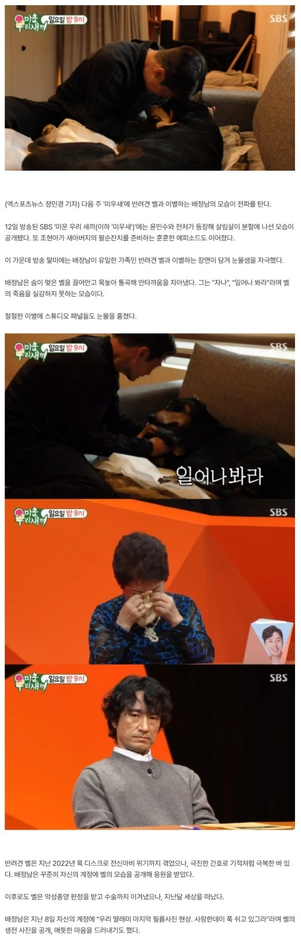 배정남 오열, '유일한 가족' 벨 세상 떠났다…"일어나봐라" 통곡 (미우새)