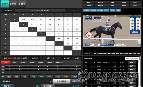 [불법 경마] 韓日 경마영상 도박사이트, 유튜버까지 가담